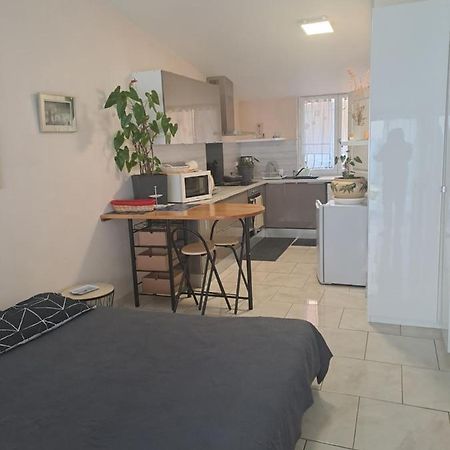 Apartmán Chez Sabine Et Pascal Meyzieu Exteriér fotografie