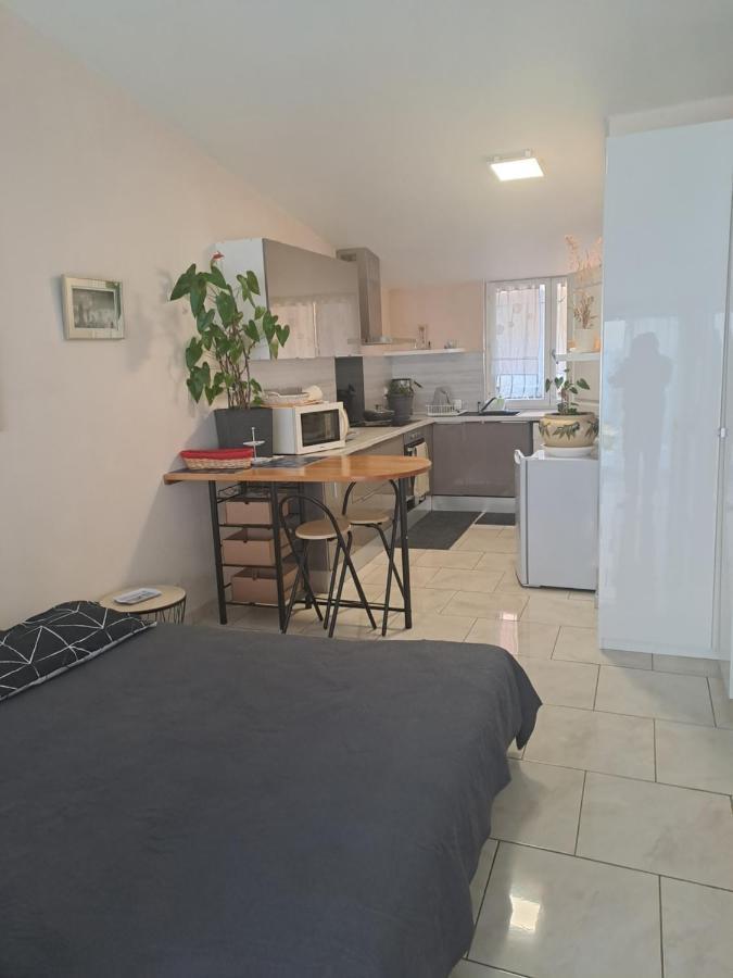 Apartmán Chez Sabine Et Pascal Meyzieu Exteriér fotografie