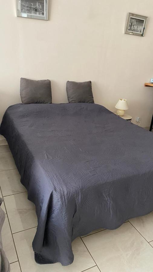 Apartmán Chez Sabine Et Pascal Meyzieu Exteriér fotografie