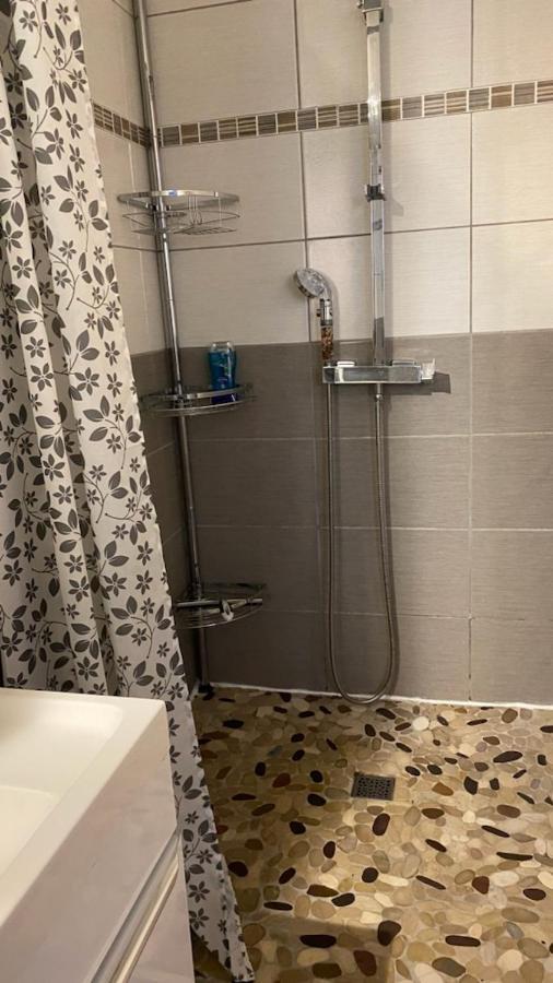 Apartmán Chez Sabine Et Pascal Meyzieu Exteriér fotografie