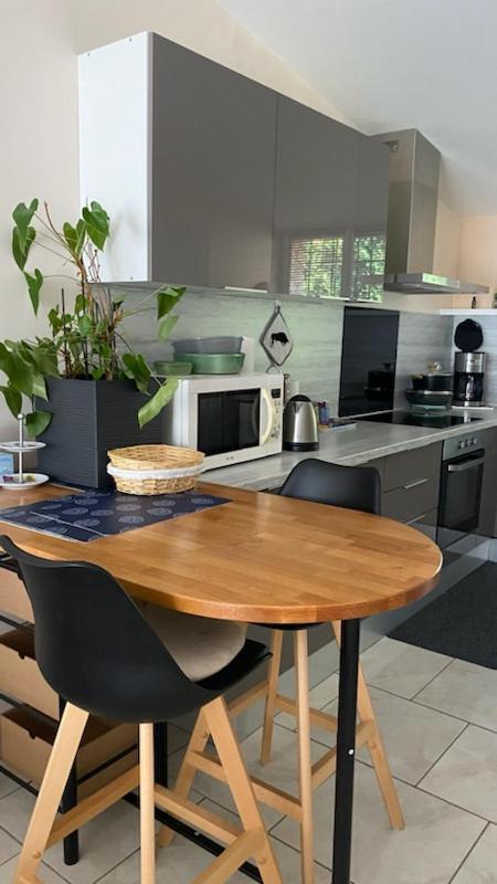 Apartmán Chez Sabine Et Pascal Meyzieu Exteriér fotografie